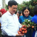 Thông quan mở lối, vải thiều thêm đường đi xa