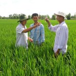 Cần cơ chế mạnh hơn cho tổ khuyến nông cộng đồng