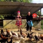 Người Mông đầu tiên ở xứ Thanh đưa gà đen trở thành sản phẩm OCOP