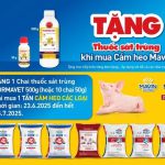 Mavin feed đồng hành cùng nhà chăn nuôi - chung tay phòng chống ASF