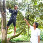 Cần Thơ xuất hiện nhiều mô hình nông nghiệp thu nhập tiền tỷ mỗi năm