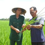Chiến lược '6 T' và 3 đột phá trong phát triển nông nghiệp Hậu Giang