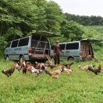 Người chăn gà du mục và ước mơ thay đổi hình ảnh nông dân Việt