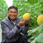 Thủy lợi nội đồng thông minh Mạch sống của nhà màng công nghệ cao