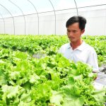 Ngân hàng 'hà hơi tiếp sức' giúp nông dân làm giàu